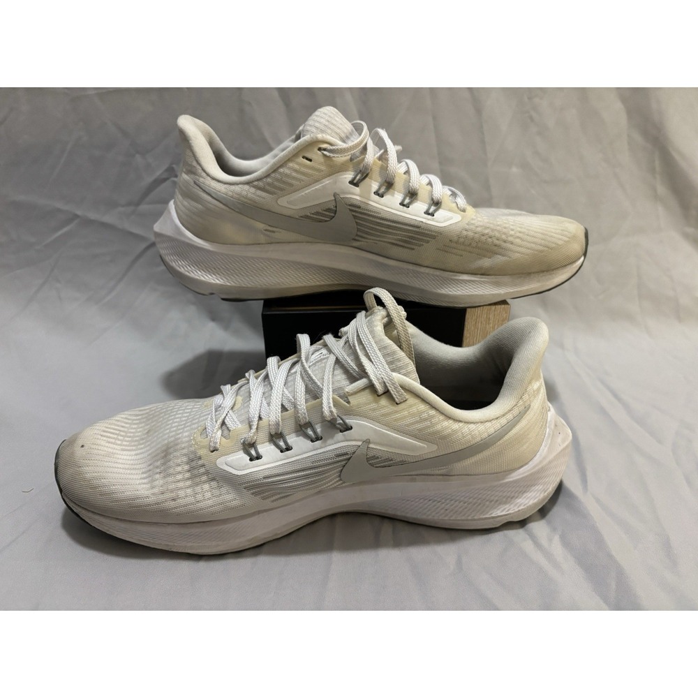 Pegasus 39 Men Size 10